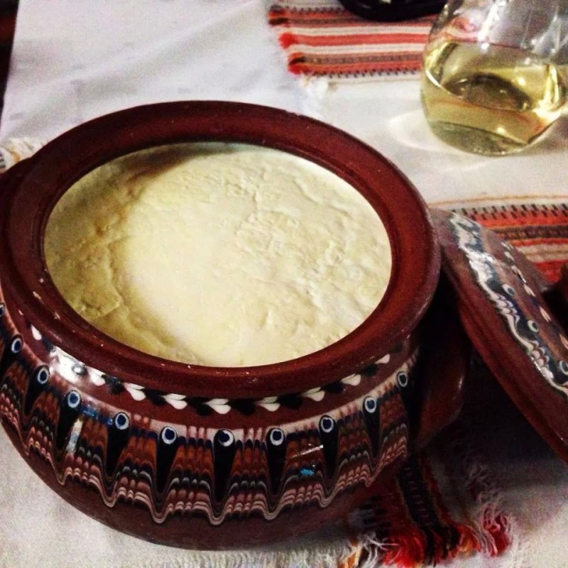 BULGARIAN YOGURT PROBIOTIC THERAPY (6)